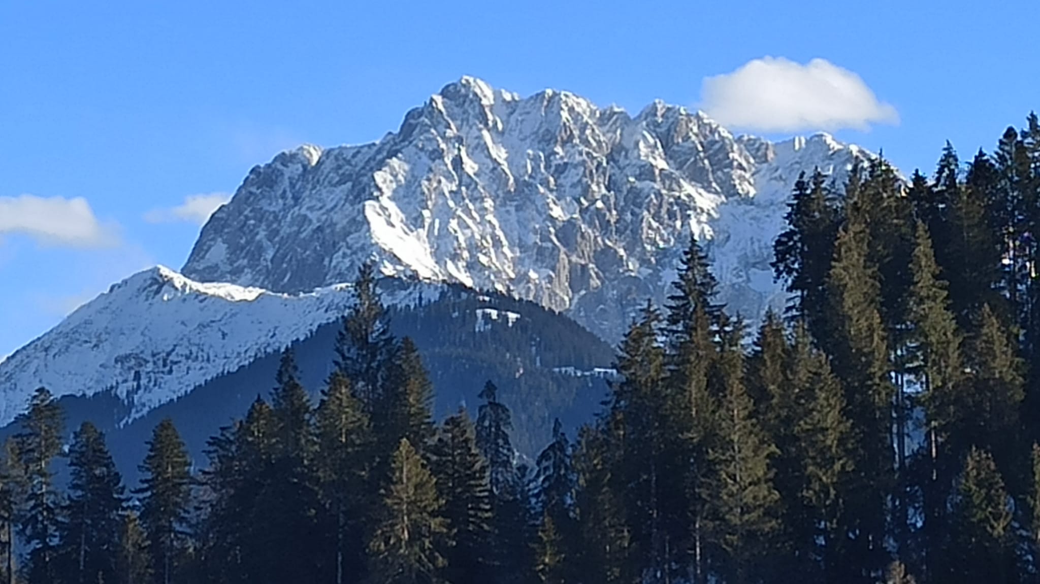Berg